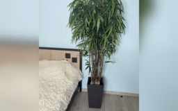 Искусственное дерево Бамбук на заказ