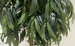 Манго искусственное дерево
