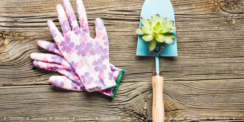 Какие выбрать перчатки для сада и огорода