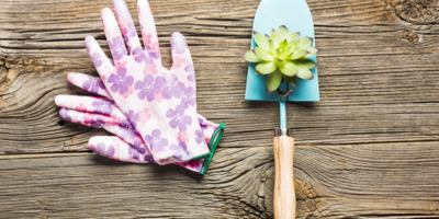 Какие выбрать перчатки для сада и огорода