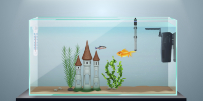 Как обустроить аквариум просто и правильно