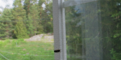 Виды москитных сеток на окнах и дверях