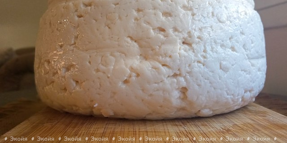 Делайте домашний сыр без фермента и заквасок