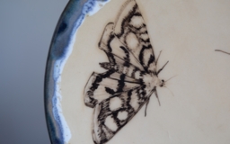 Тарелка Бабочка. Ручная роспись