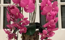 Орхидея розовая искусственая