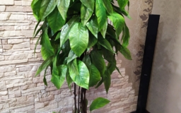 Семиствольное искусственное дерево Авокадо