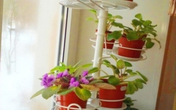 Подставка распорная Кипарис для маленьких растений