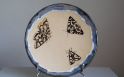 Тарелка с бабочками