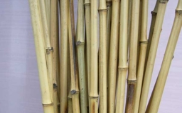 Палка бамбуковая