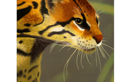 Картина вышитая шелком Золотая кошка catopuma