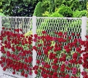 Декоративный садовый забор