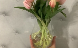 Тюльпаны силиконовые разного цвета