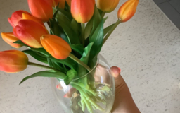 Тюльпаны силиконовые разного цвета